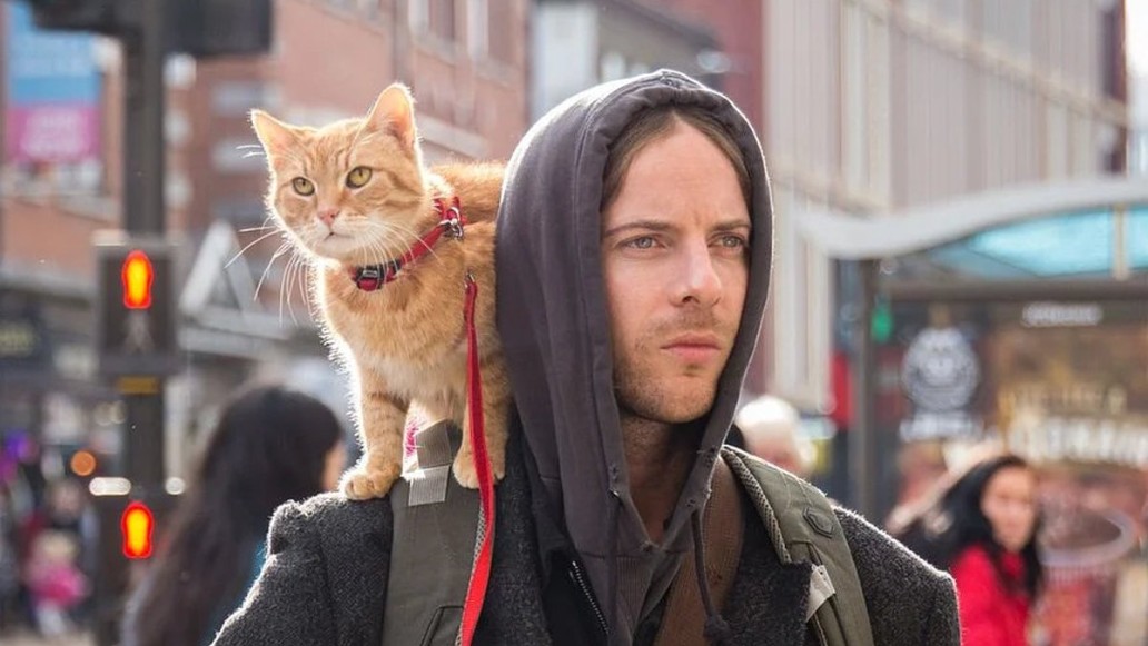 фильм Рождество кота Боба, фото