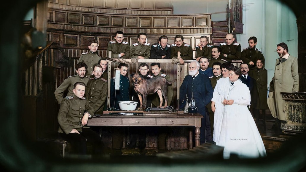 докфильм, Павлов, фото