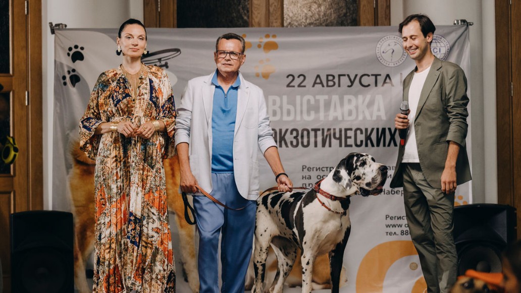 сериал «Домохозяин»