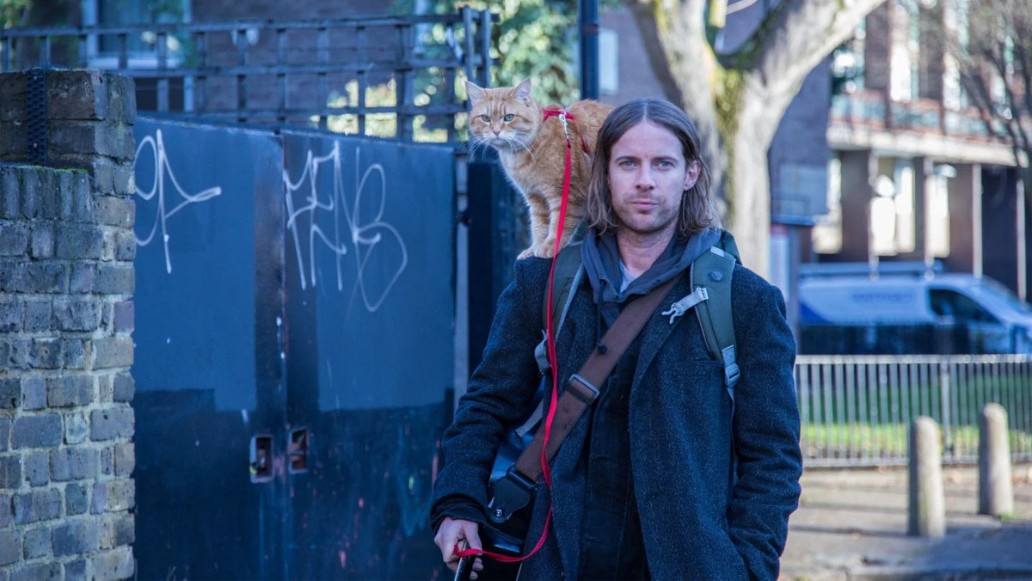 фильм Рождество кота Боба, фото