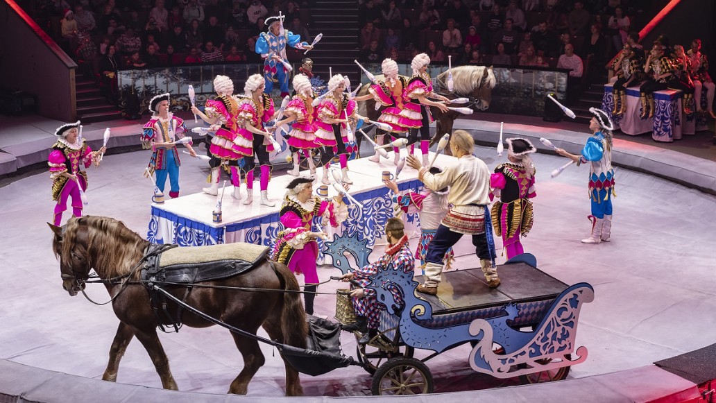 Новый год, «Сказка о Золотой рыбке», братья Запашные, шоу