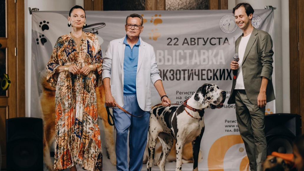 сериал «Домохозяин»