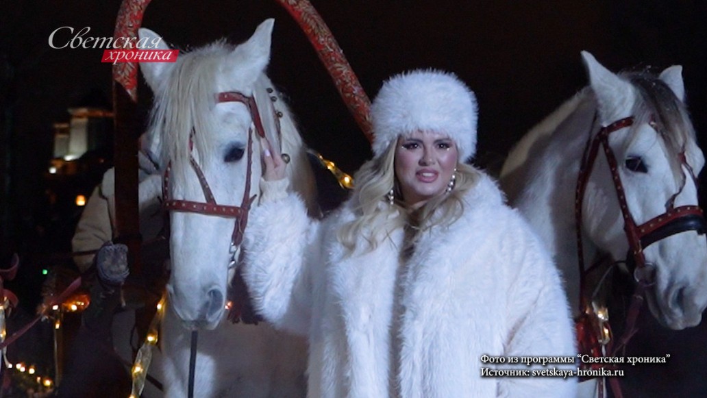 Светская хроника, выпуск 26.12, фото