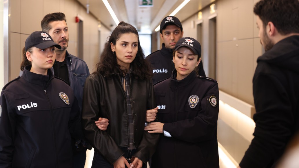 сериал Дикий, турецкий, фото