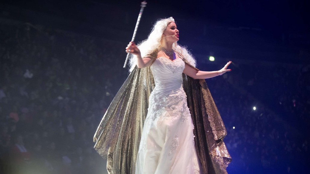 ледовое шоу, Золушка, губернаторская елка, фото