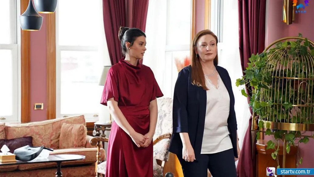 сериал «Зимородок»