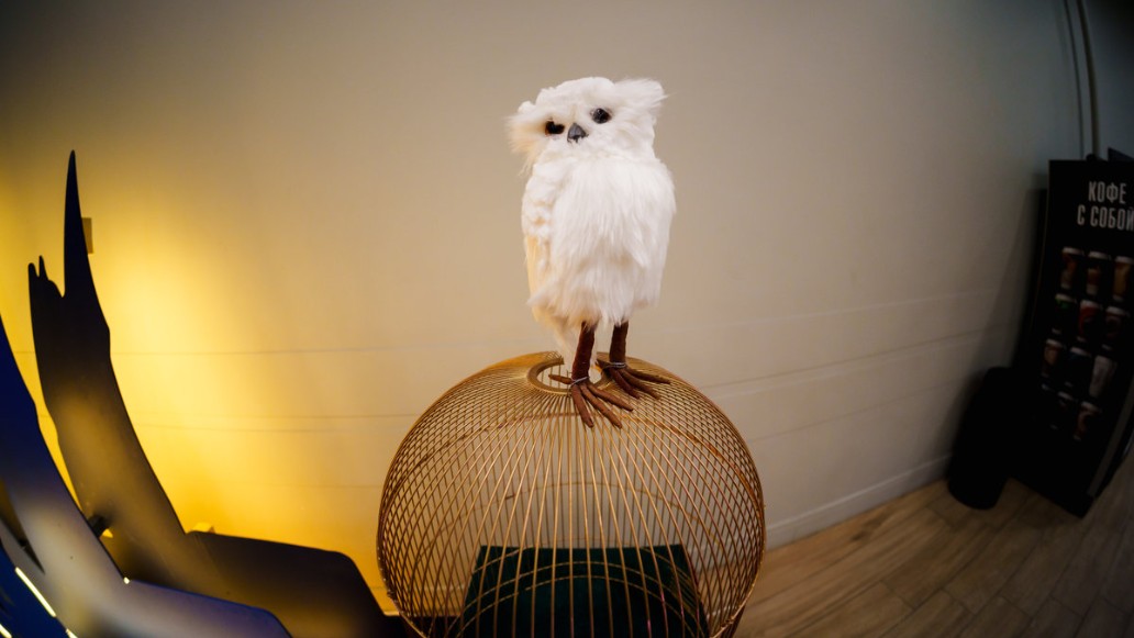 Imperial Orchestra, шоу «Новый год в Хогвартсе», фото