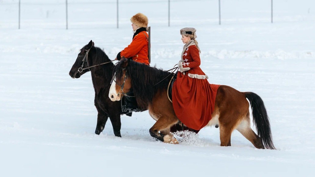 сериал Свора, фото