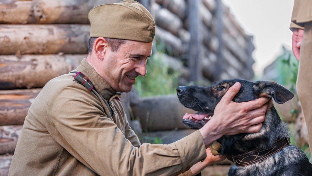 сериал «Солдат по кличке Рекс», съемки