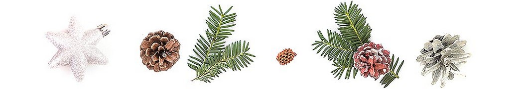 Россия 1, Новый год 2025