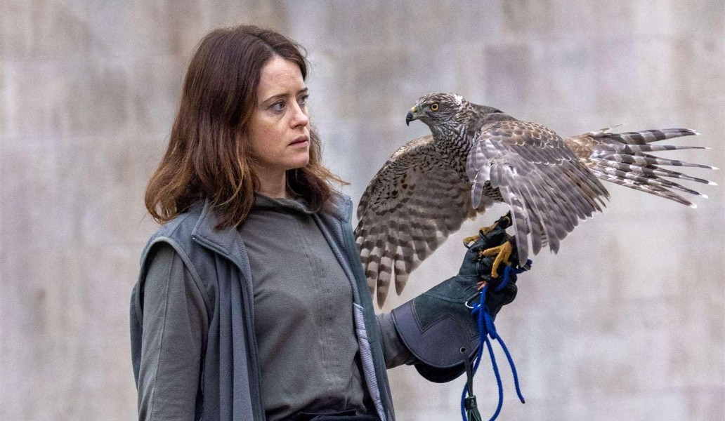 Я – значит ястреб, фото