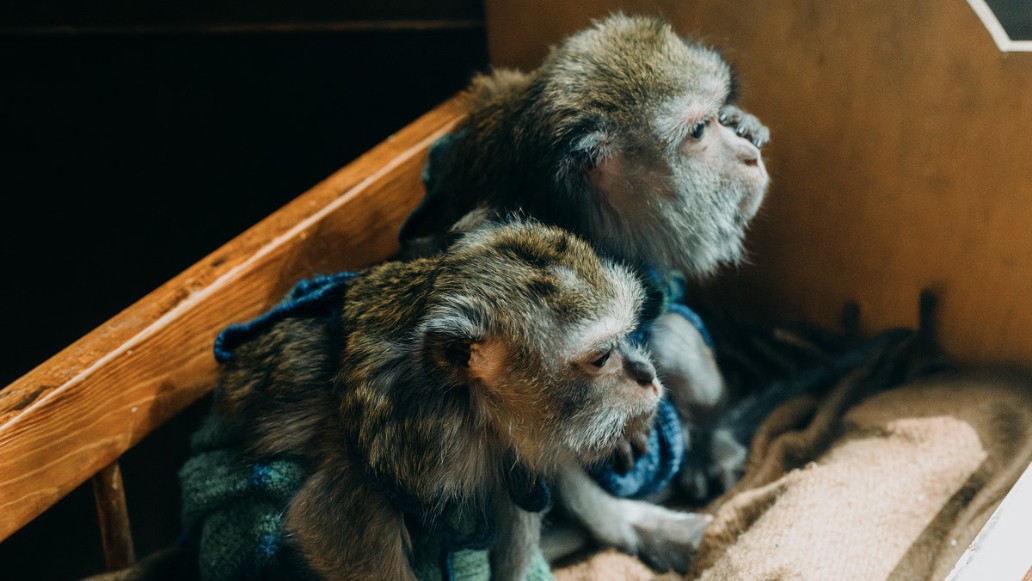 фильм Красавица, премьера в кино, фото