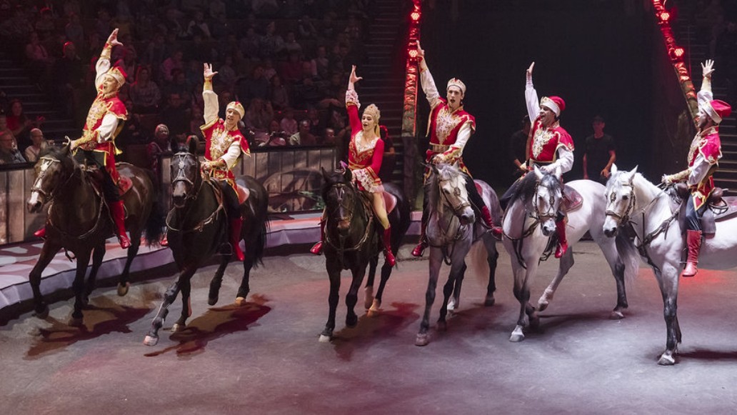 Новый год, «Сказка о Золотой рыбке», братья Запашные, шоу