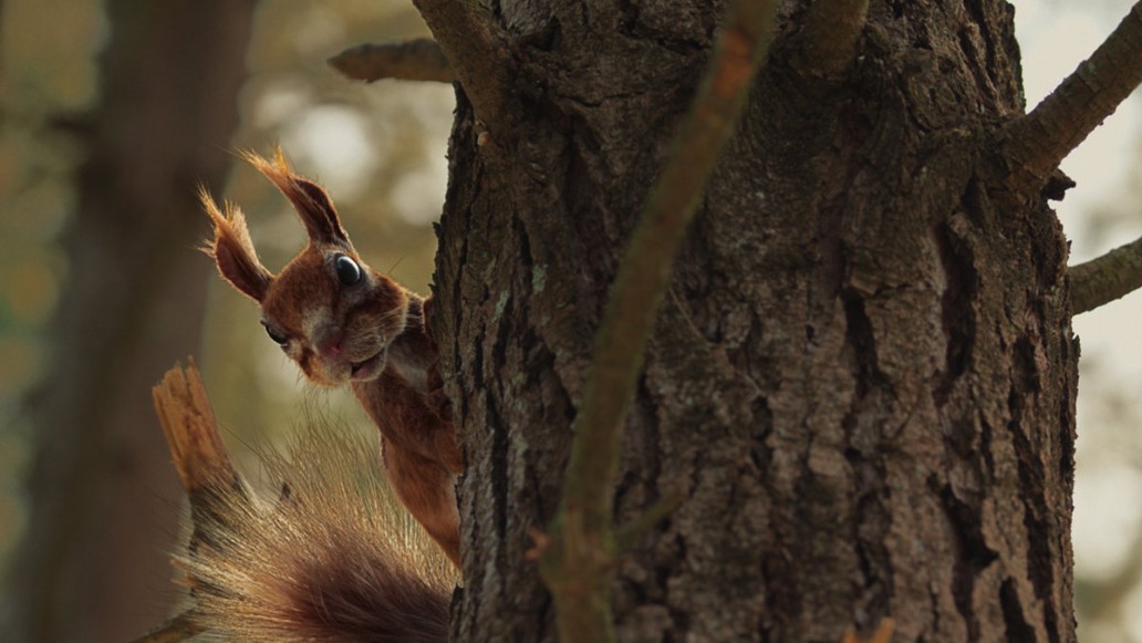 фильм Пушистые каникулы, фото