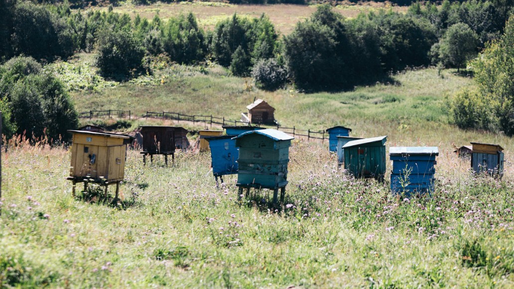 Простоквашино, фото