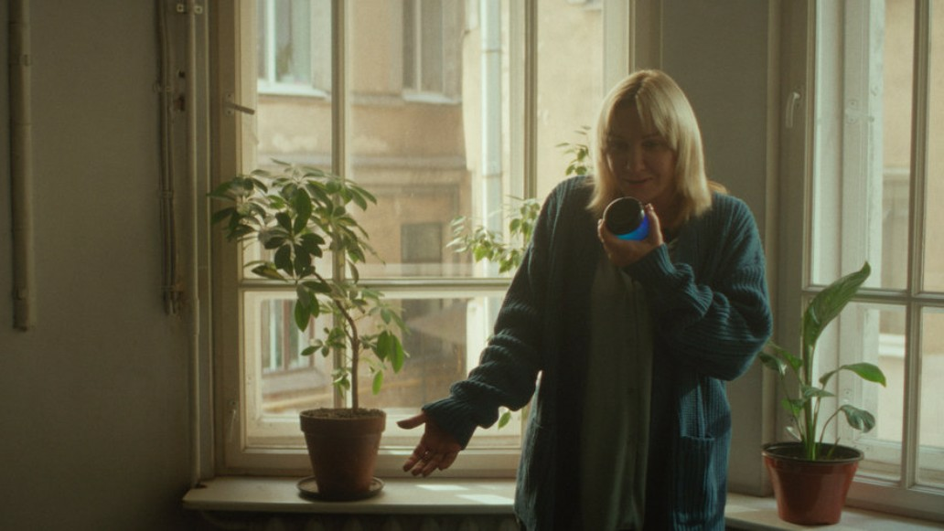 фильм Тюльпаны, фото