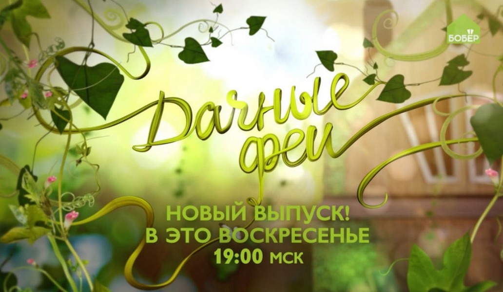 телеканал Бобер