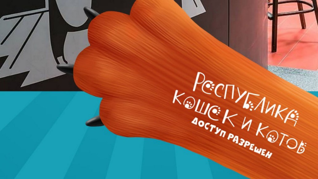 Кубокот, помощь животным