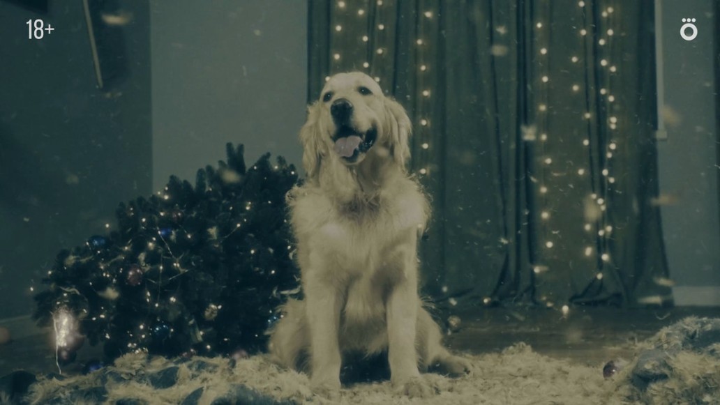 Догументалка, фото