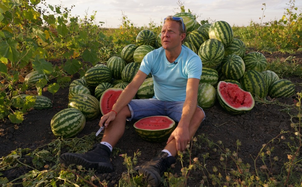 триколор, тв, журнал