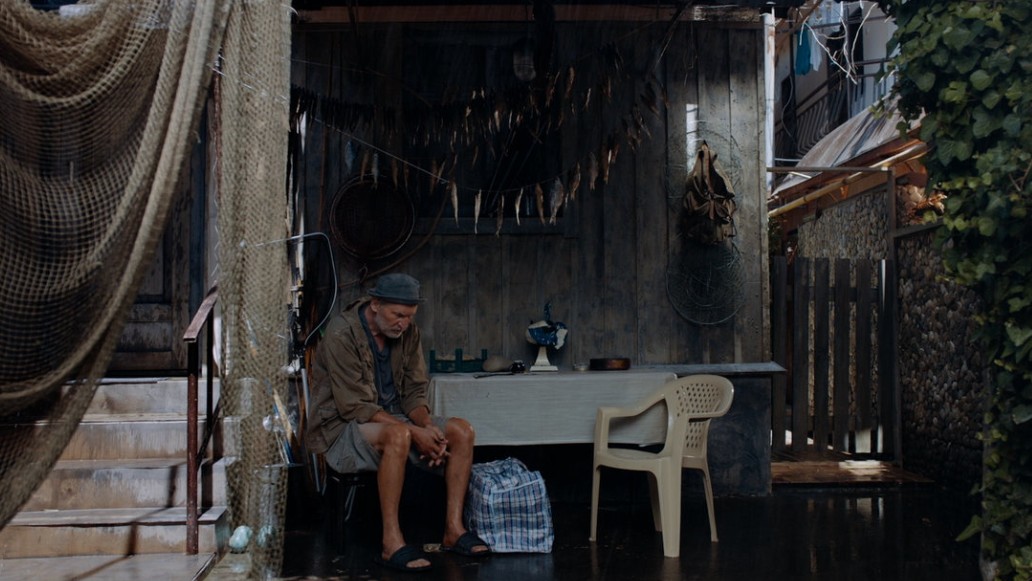 Семь Дней Петра Семеныча, фото