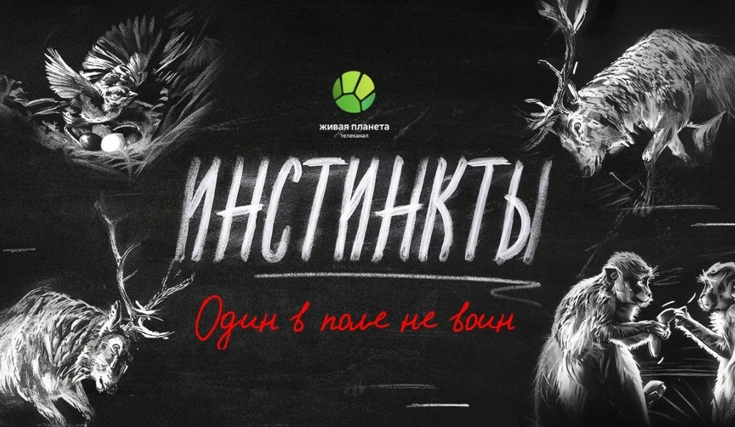 Живая планета, фото