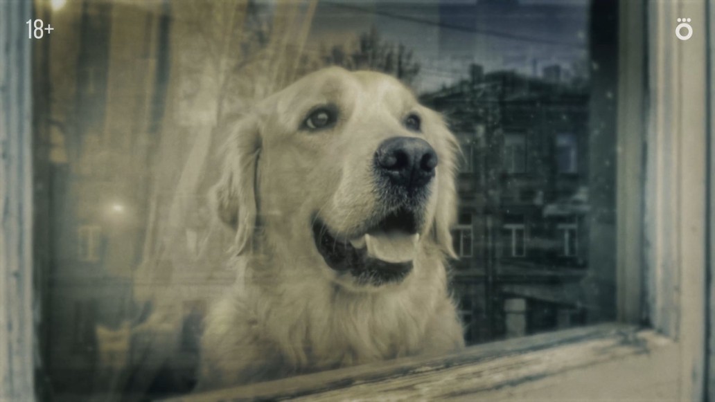 Догументалка, фото