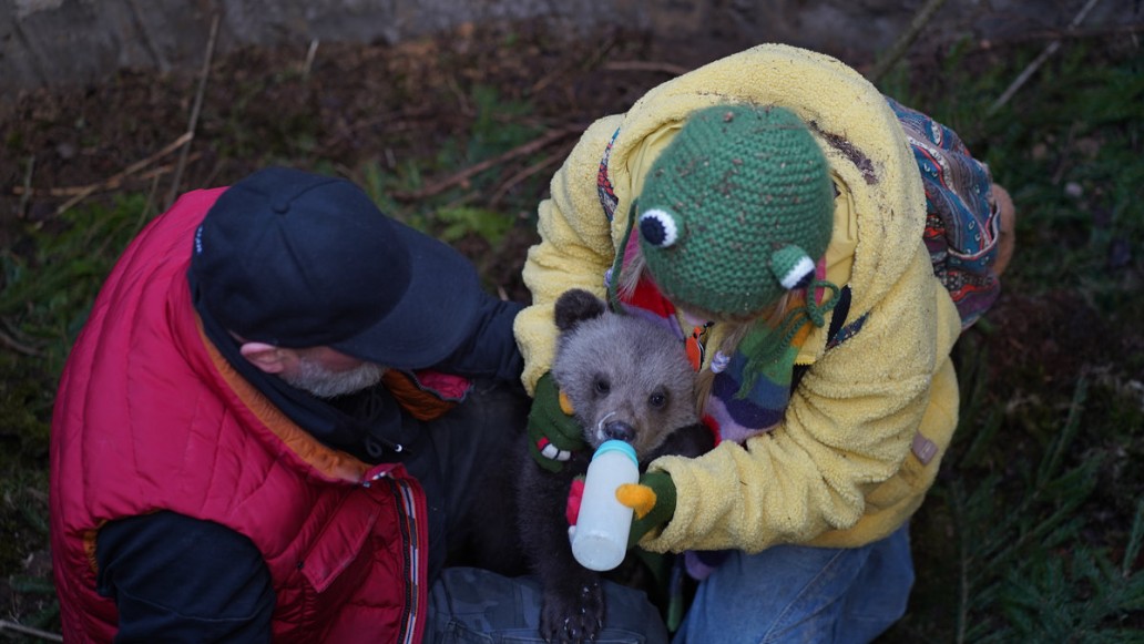 Мой папа – медведь-2, фото