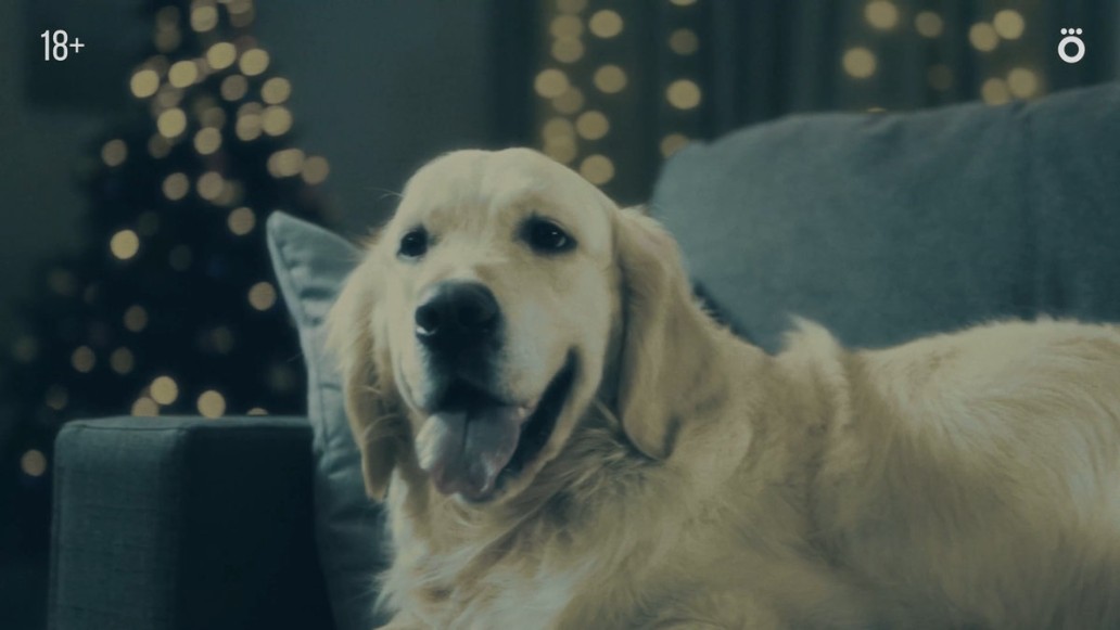 Догументалка, фото