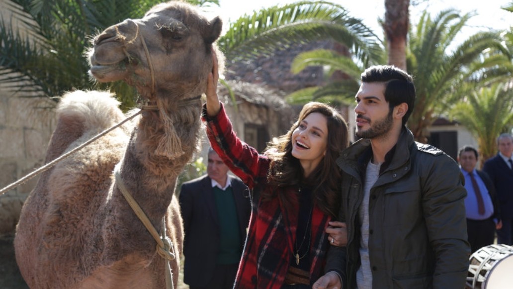 сериал Новая невеста, турецкий, фото