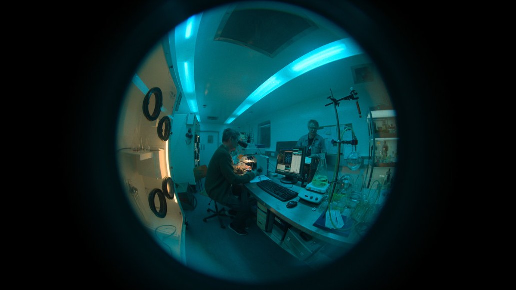 Большая фарма, фото