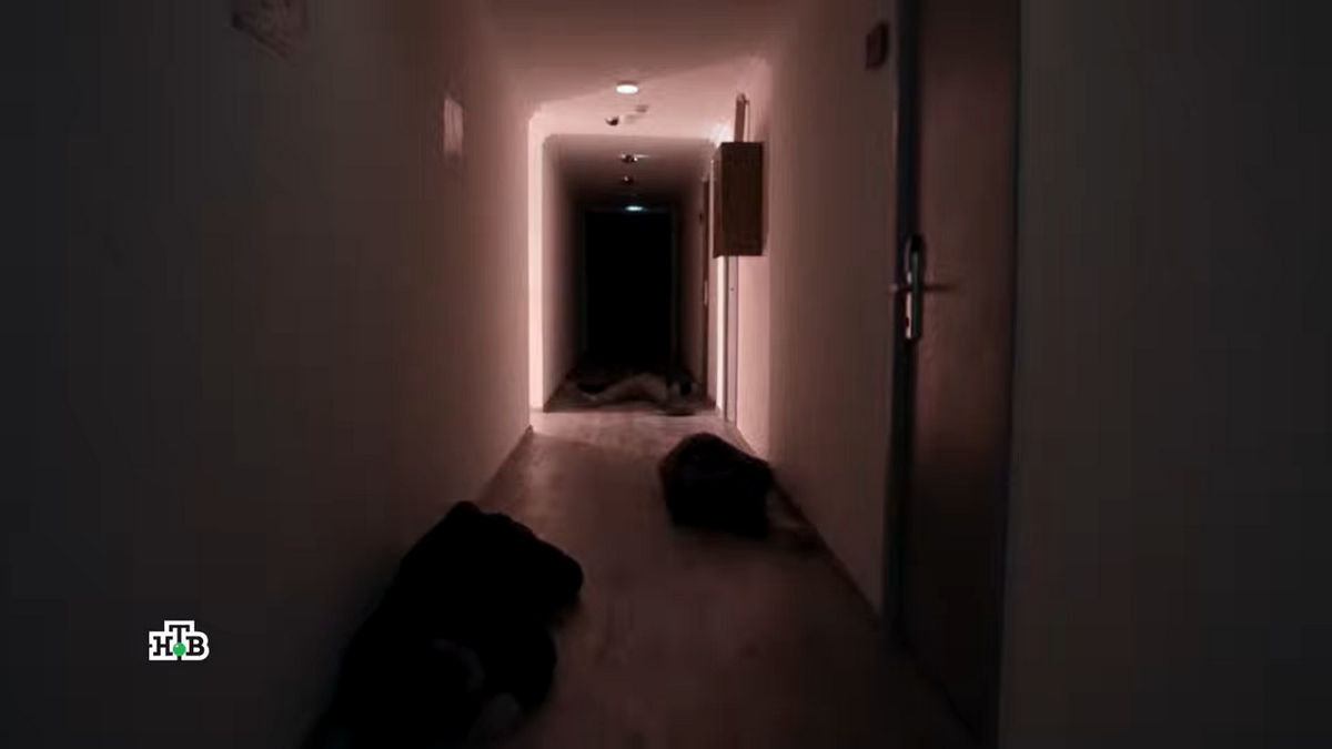 Месть за семью сочинским наркодилерам: «Сармат» на канале «Наше» показывает, как внедрение оперативника к бандитам обернулось кровопролитием