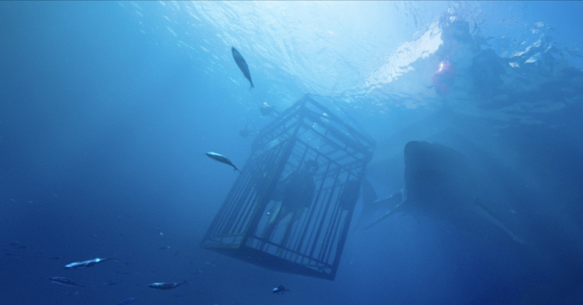 47 метров ужаса