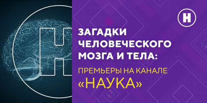 Секреты мозга и загадки тела: «Наука» покажет премьеры научно-популярных фильмов