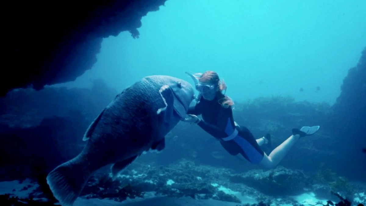 Семейство гуманистов против браконьеров: «Друг в океане» на «Премиальном» рассказывает историю борьбы Эбби и Доры за живых существ