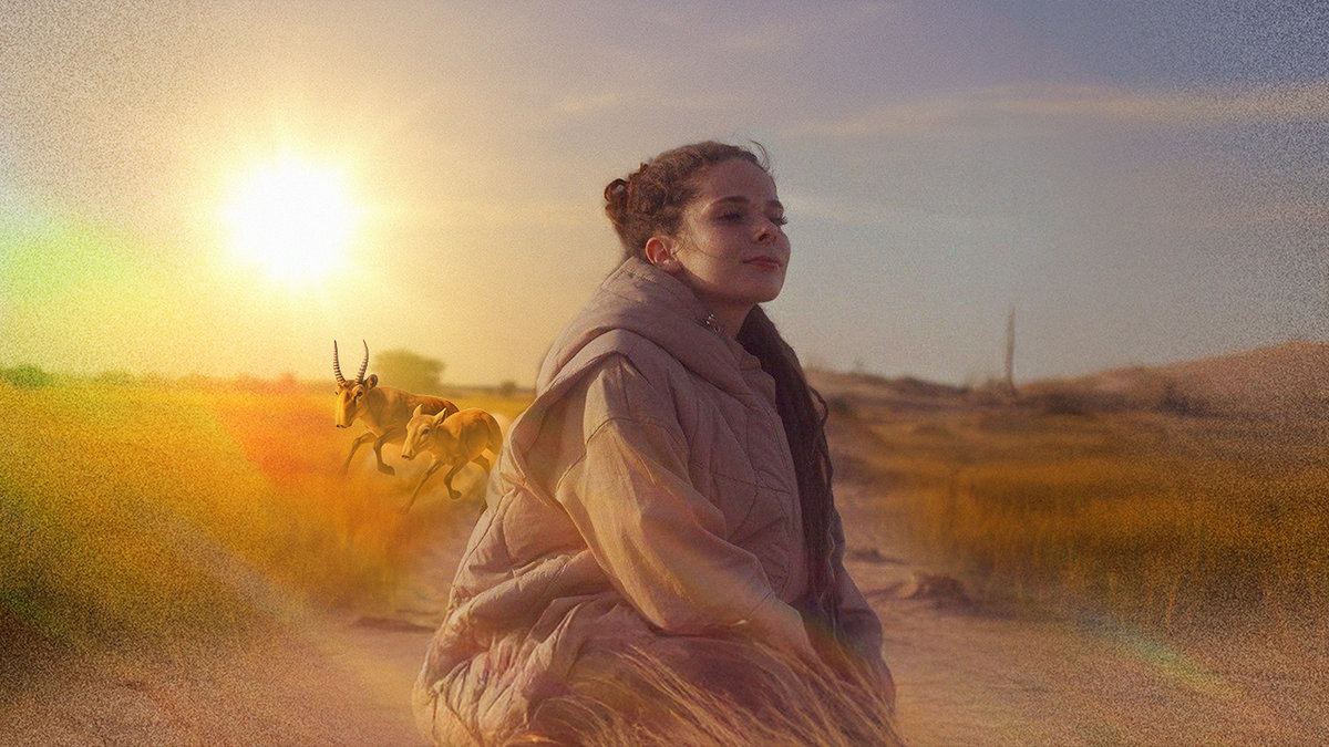 От Калмыкии до Дагестана: на телеканале «Живая Планета» стартует премьера нового цикла программы «Заповедные миры»