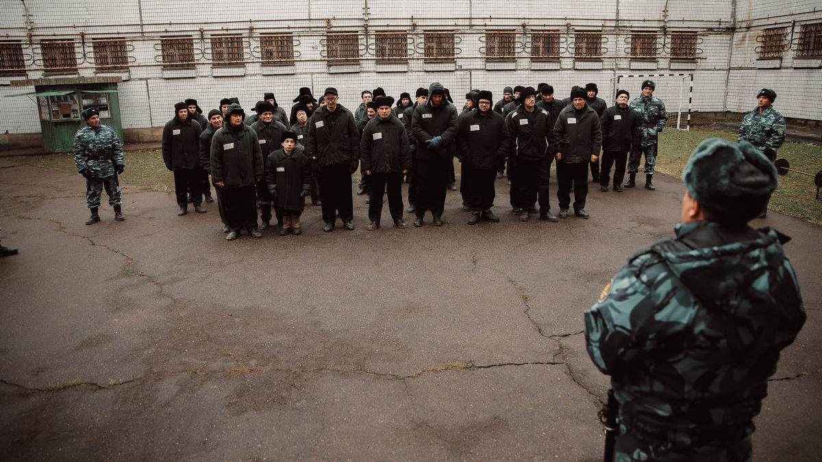 Шекспир в тюрьме: начались съемки сериала «Театральная зона» с Борисом Дергачевым и Никитой Кологривым