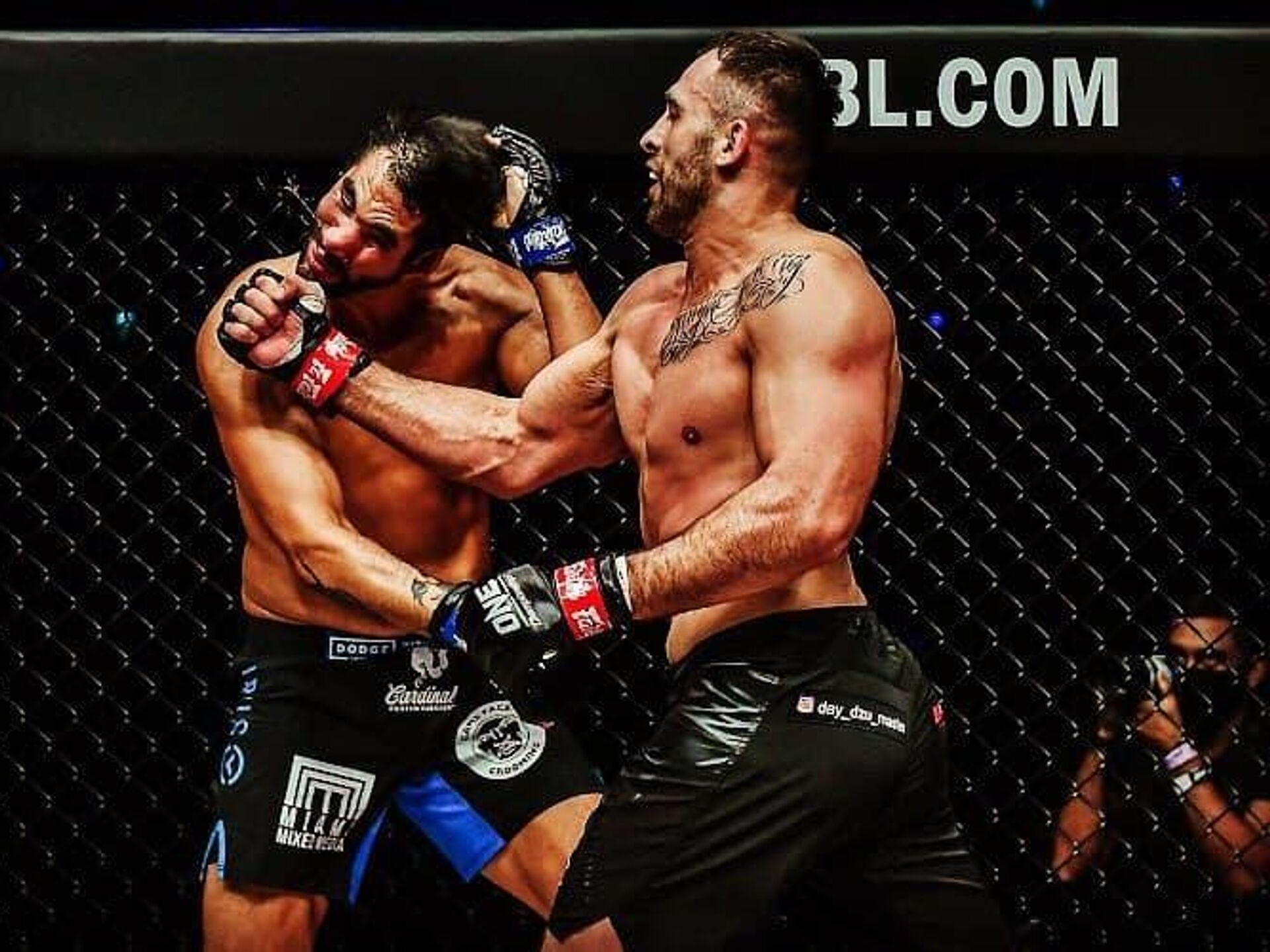 Расулов против Рая, Грищенко дерется с Кангом: не пропустите пятничный турнир лиги ONE на «МАТЧ!»