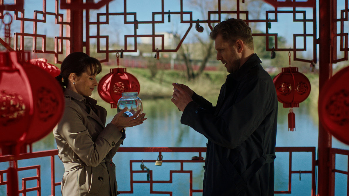 «ТВ Центр» покажет сразу две премьеры – финал «Женщины с котом и детективом» и новинку «Денежное дерево»