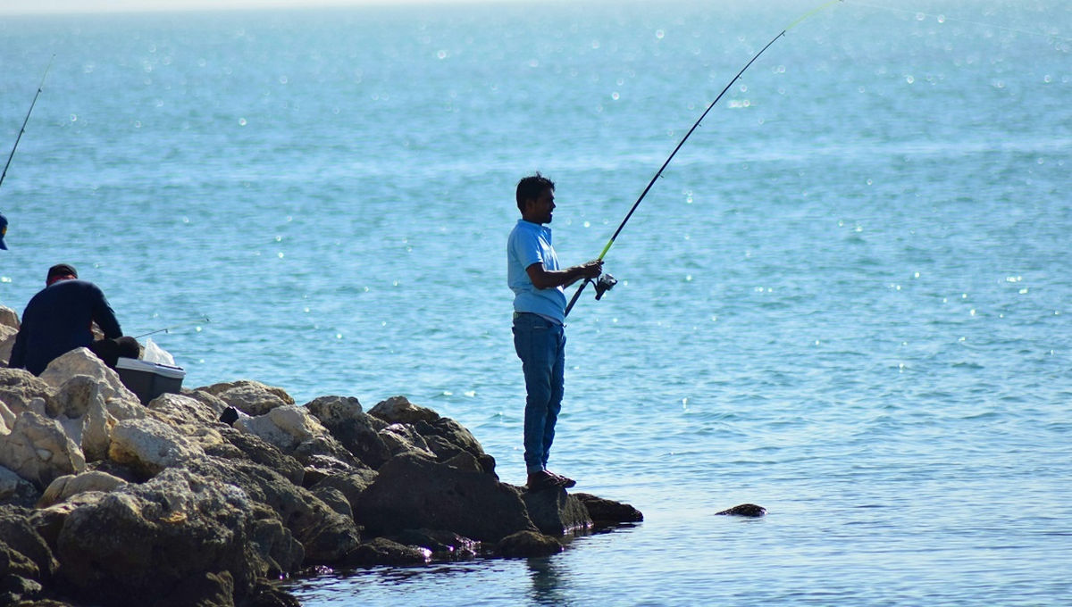 Все расскажут на ТВ - работающие лайфхаки и советы опытных рыболовов