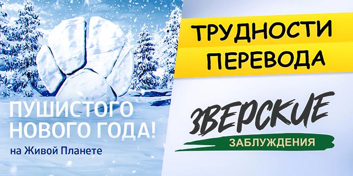 Как научиться понимать животных: не пропустите новогодние премьеры телеканала «Живая Планета»