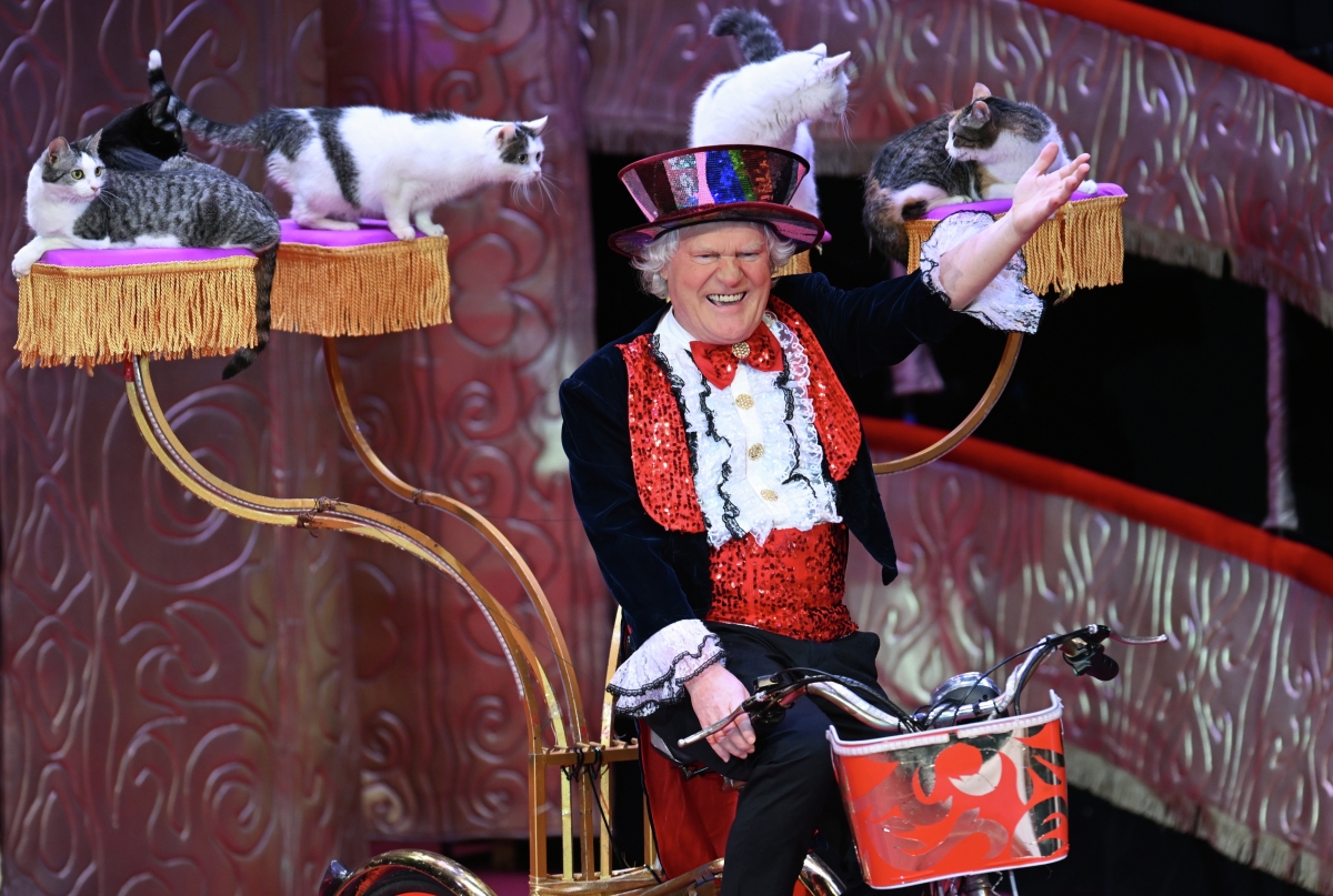 Кошкин дом: на канале «В мире животных» выходит премьера документального цикла «Куклачевы»