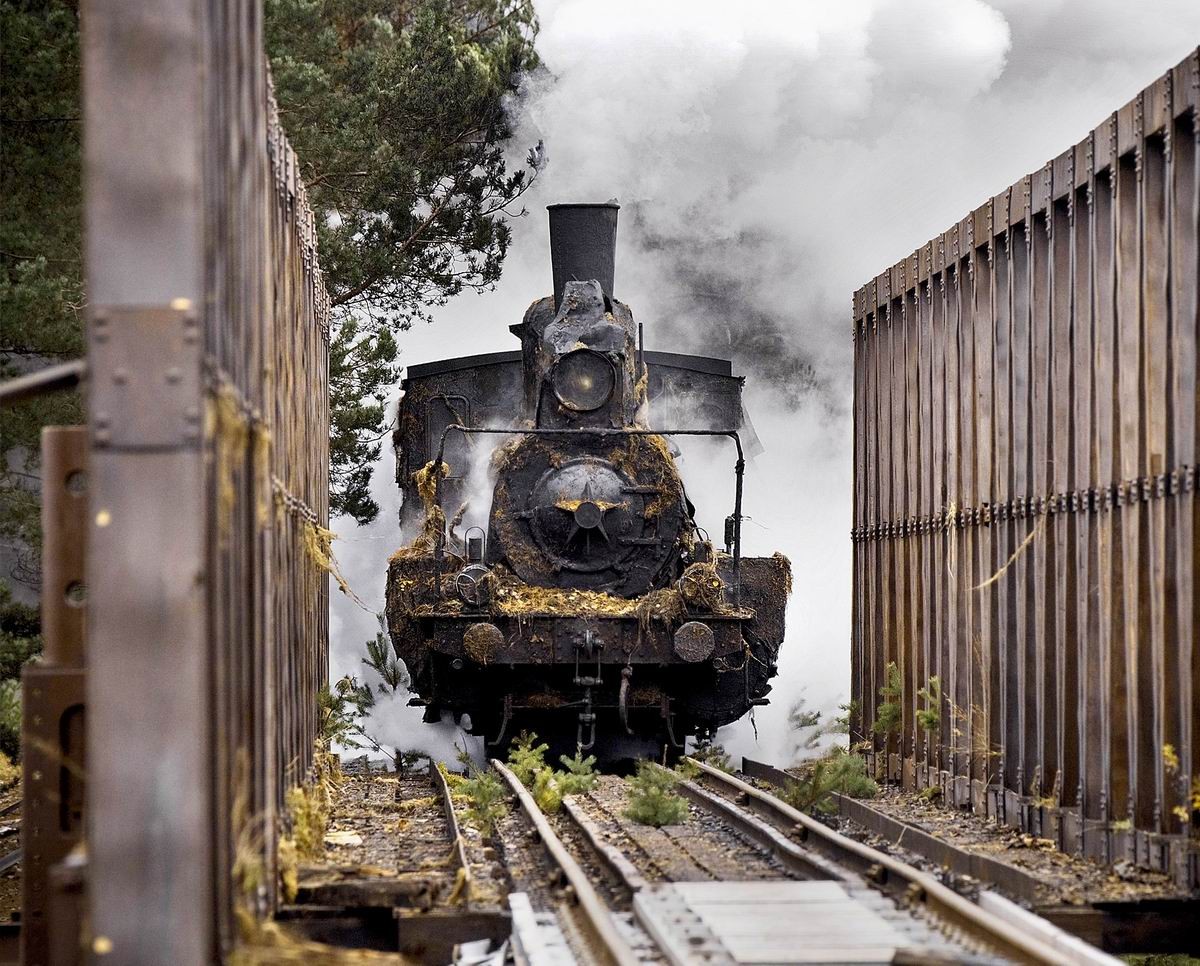 Паровозы как люди