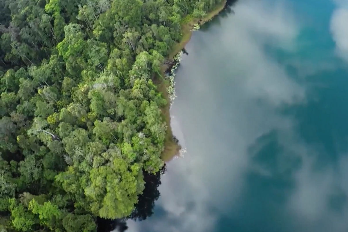 Сохранить всё живое: «Моя Планета» покажет документальный цикл «Горячие точки»
