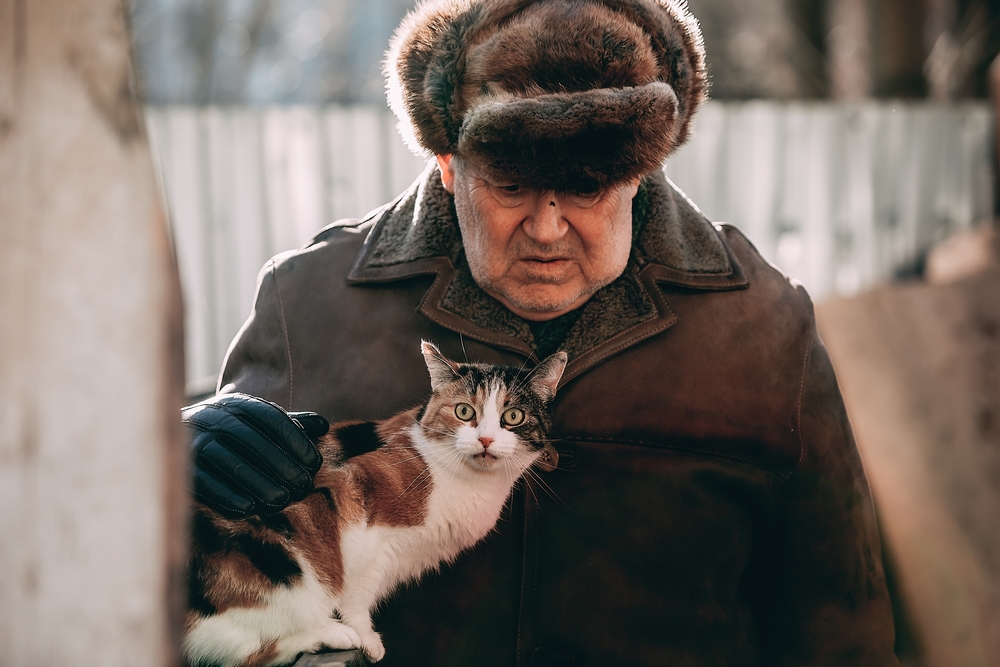 «Пять процентов»: в Санкт-Петербурге начали снимать комедию положений с Юрием Стояновым