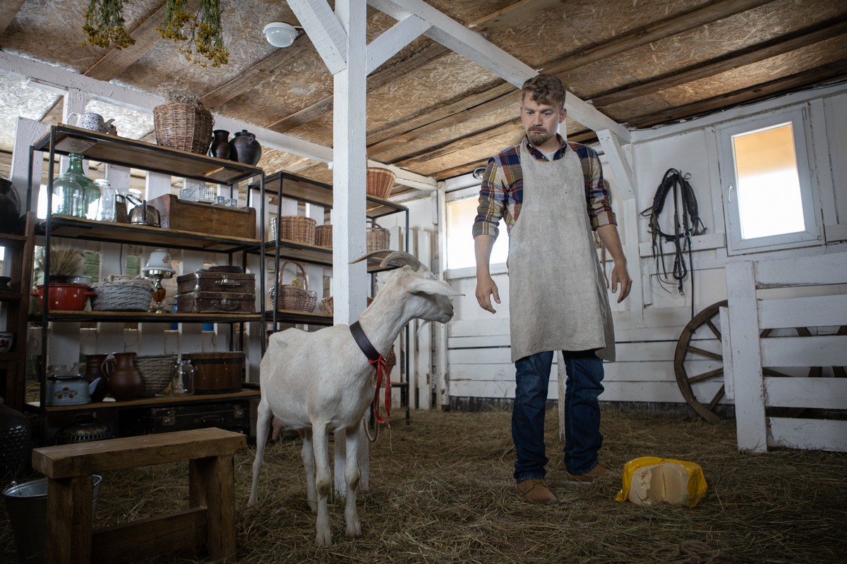 Полный чикипибарум: сегодня на телеканале «Супер» стартует новый сезон «Гранда»