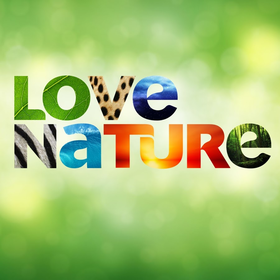 Мир в формате Ultra HD: Триколор включил телеканал премиум-класса Love Nature 4K