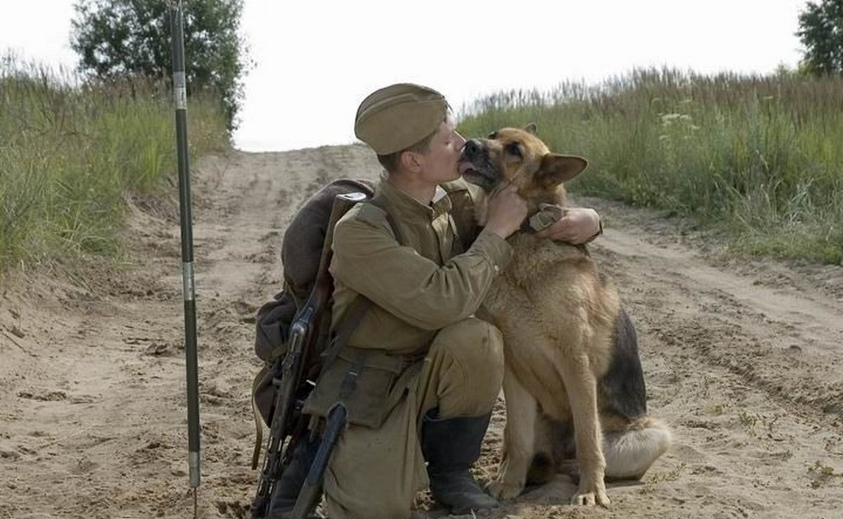 Саперно-полевой роман: военная драма «Чаклун и Румба» на канале «День Победы» рассказывает историю бравого воина минных полей и его собаки