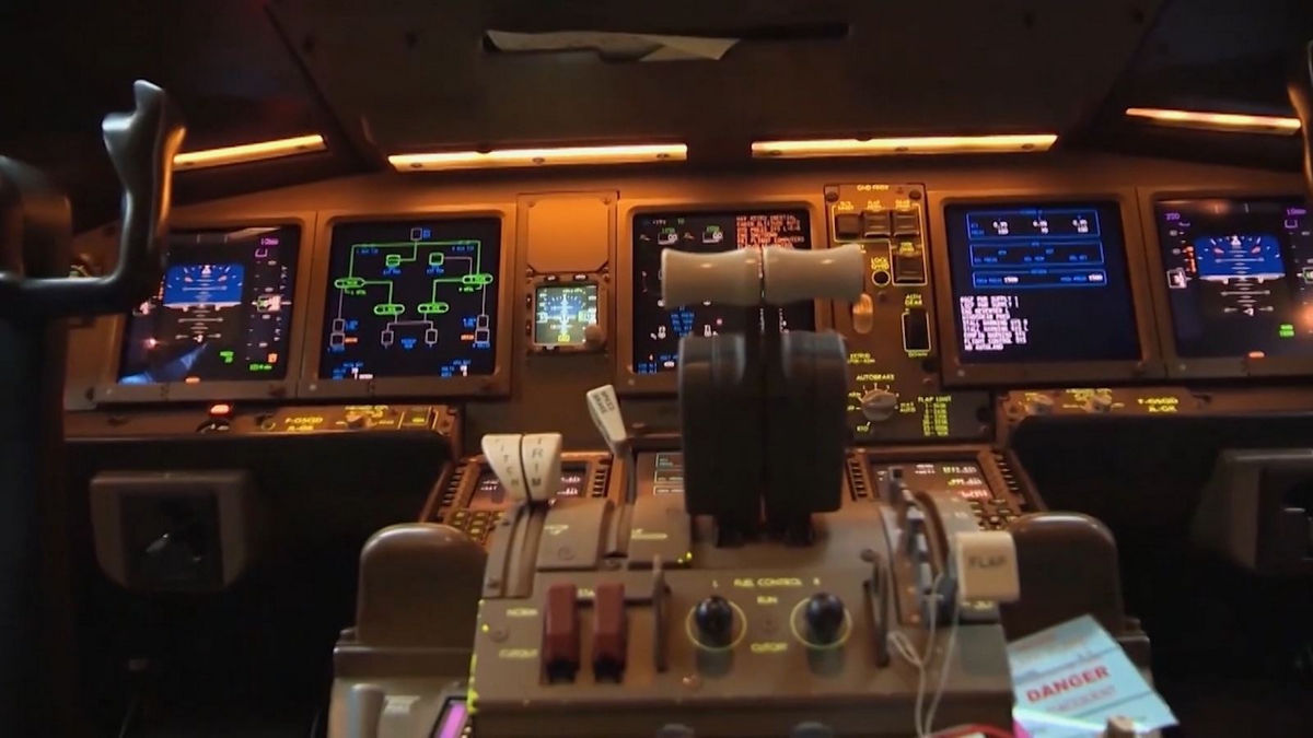 Секреты неба и леса: телеканалы «Приключения» и «В мире животных» покажут фильмы «Что пошло не так?» и «Линцесса. Тайны леса»