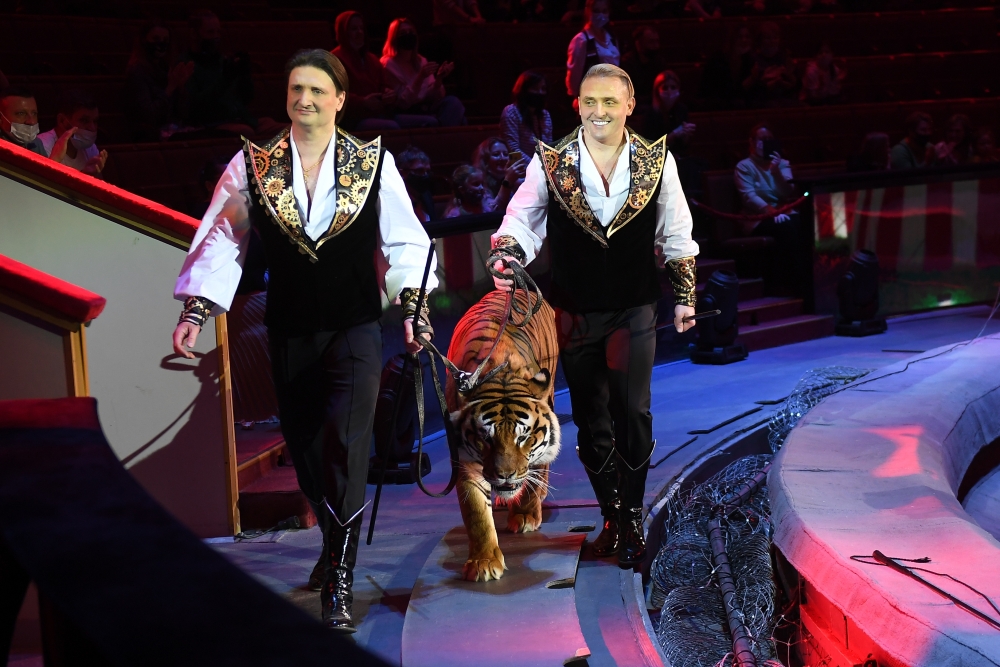 Навыки дрессуры: братья Запашные придут на программу «101 вопрос взрослому»